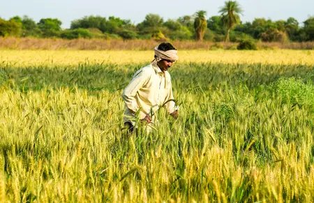 Economist Says Rural Incomes May Dip This Year; Backs Higher PM-KISAN Support