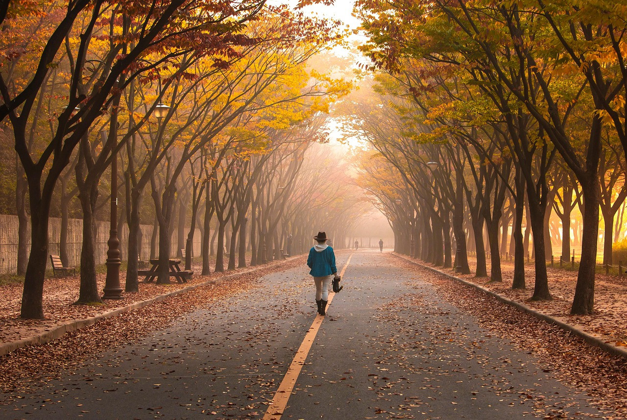 Representative image: mature woman walking park