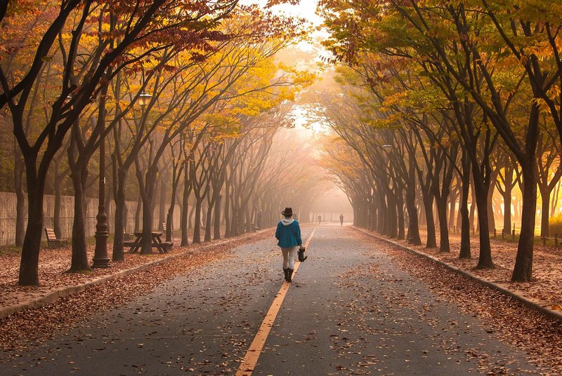 Representative image: mature woman walking park