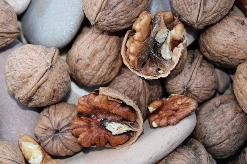 Representative image: walnuts in a bowl