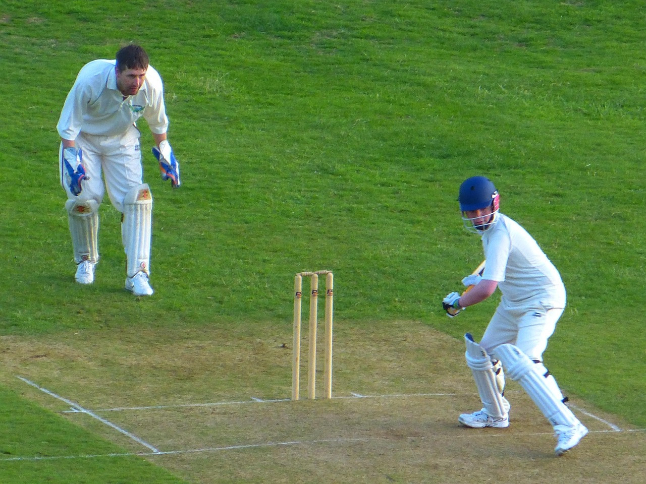 Representative image: cricket ball