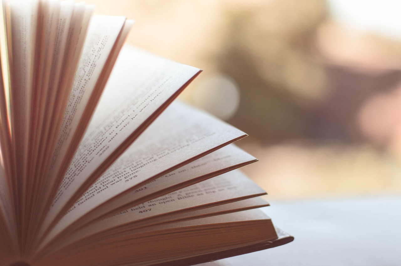 Representative image: open book
