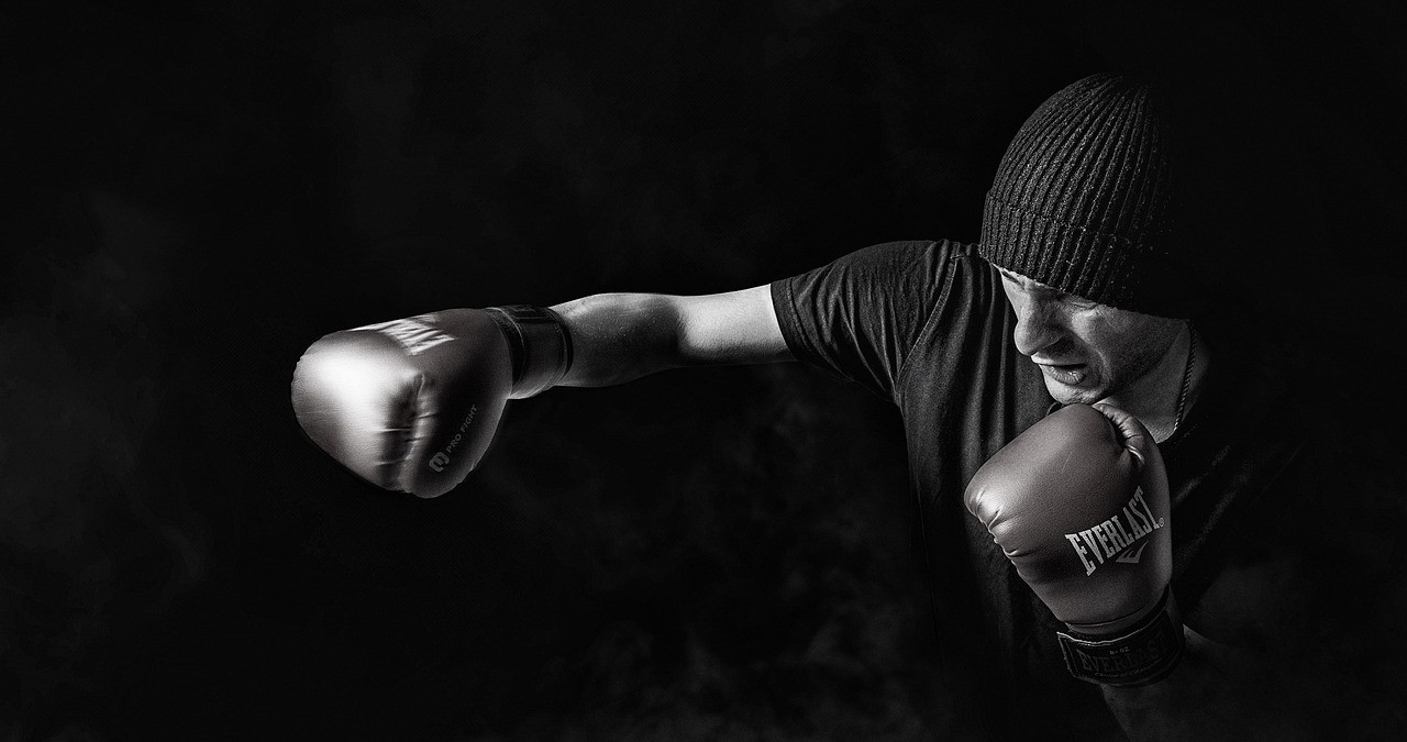 Representative image: boxing gloves in ring