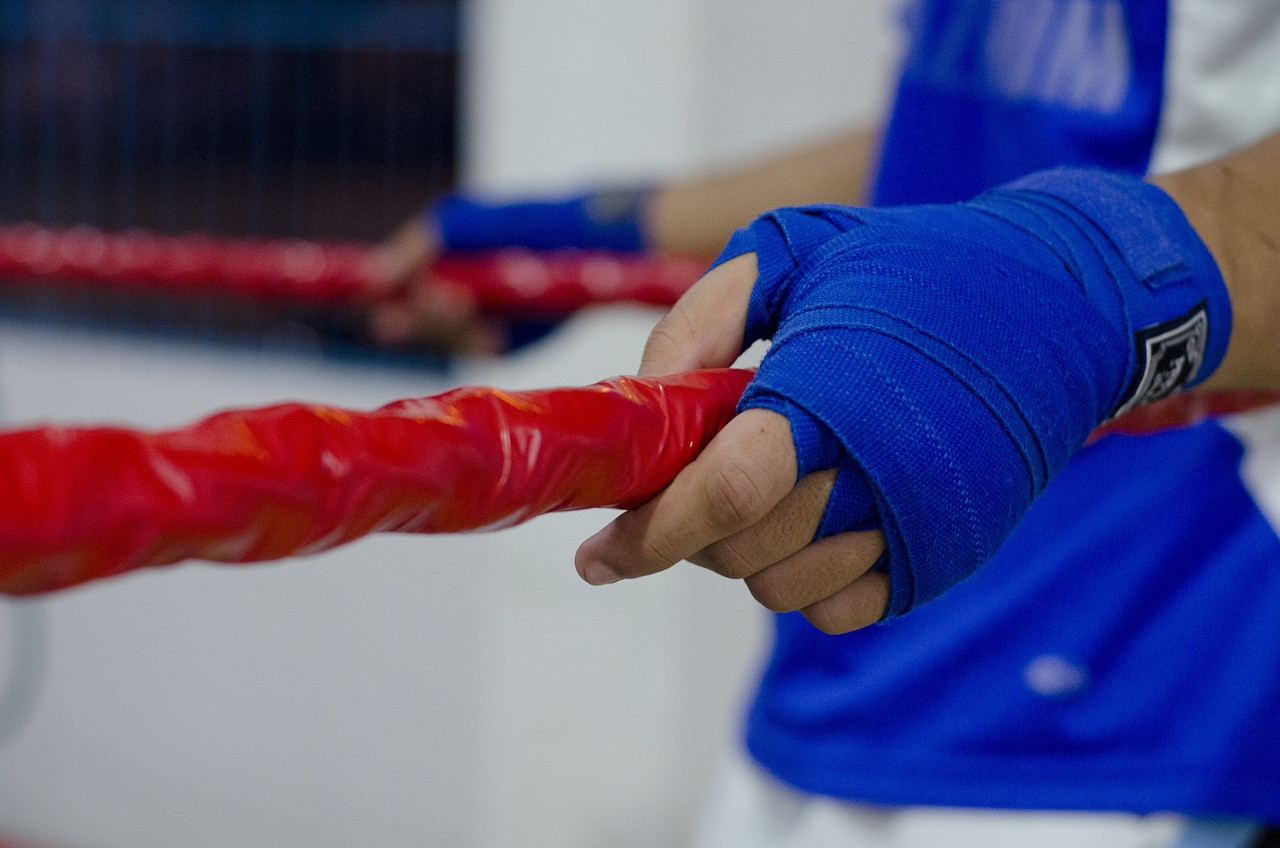 Representative image: boxing ring ropes