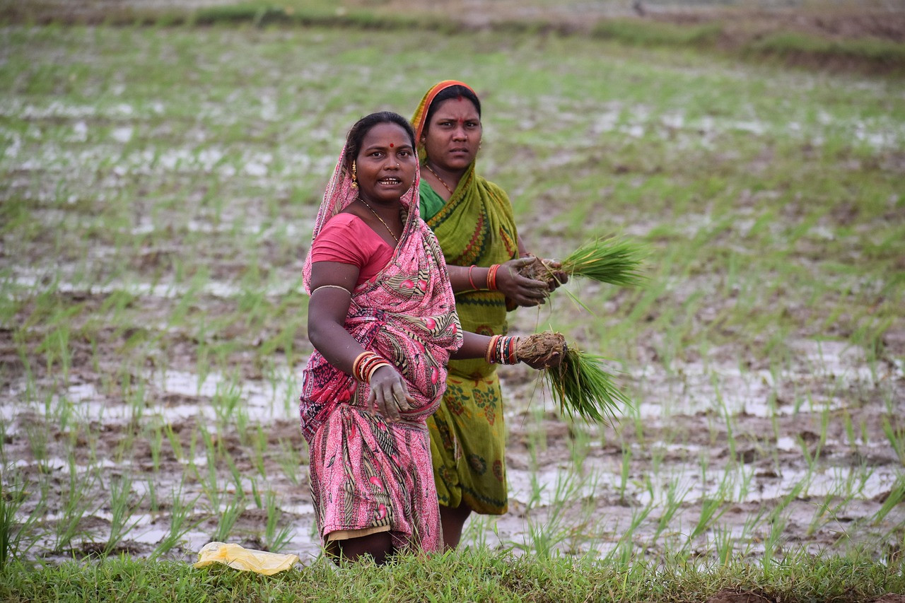 Representative image: farmer field india