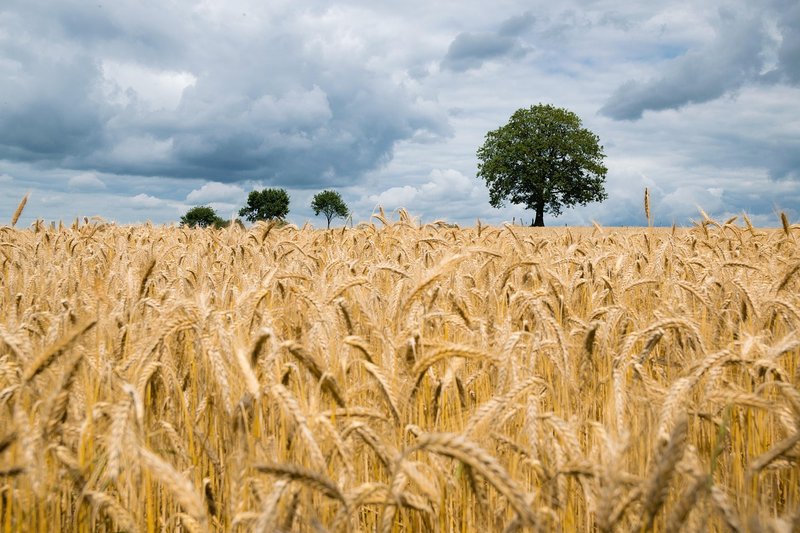 AgriStack hits 11 crore Farmer IDs five months before deadline