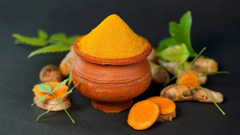 AIIA Goa, Iowa's Maharishi International University sign MoU for Ayurveda chair