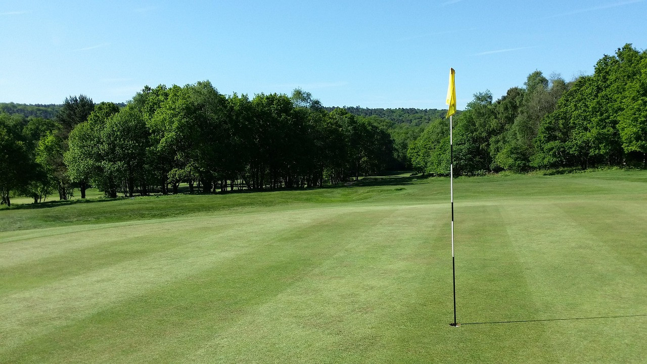 Representative image: golf course green flag