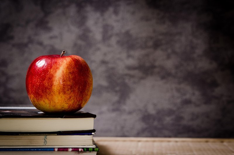 Allahabad HC orders STF check of all UP basic school teachers' certificates