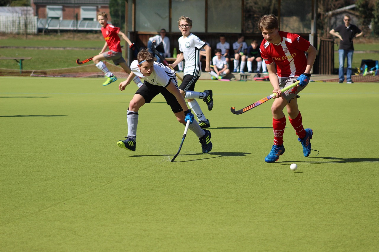 Representative image: field hockey stick ball