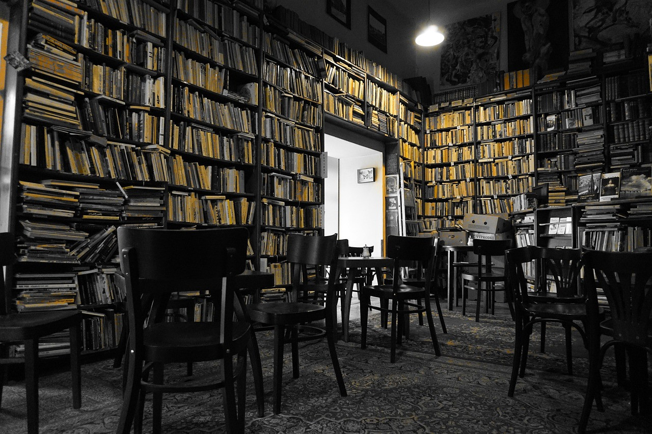 Representative image: old books library shelves