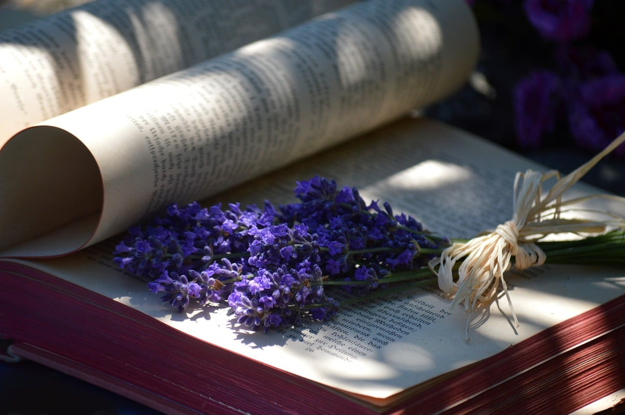 Representative image: open book