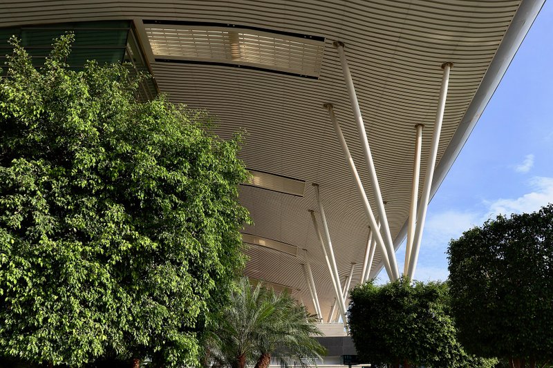 Bengaluru airport: bird strike, runway go-arounds hit Air India Express flights