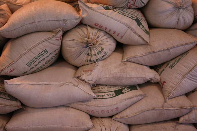 Bihar paddy procurement at Rs 2,441 MSP to start November 1