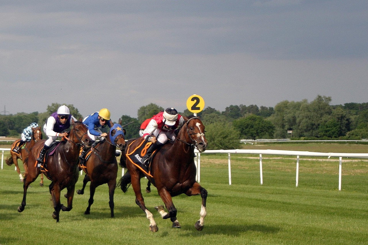 Representative image: racehorse jockey gallop