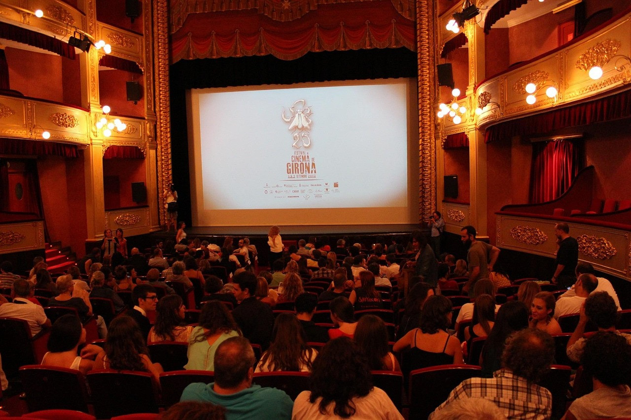 Representative image: cinema audience watching film