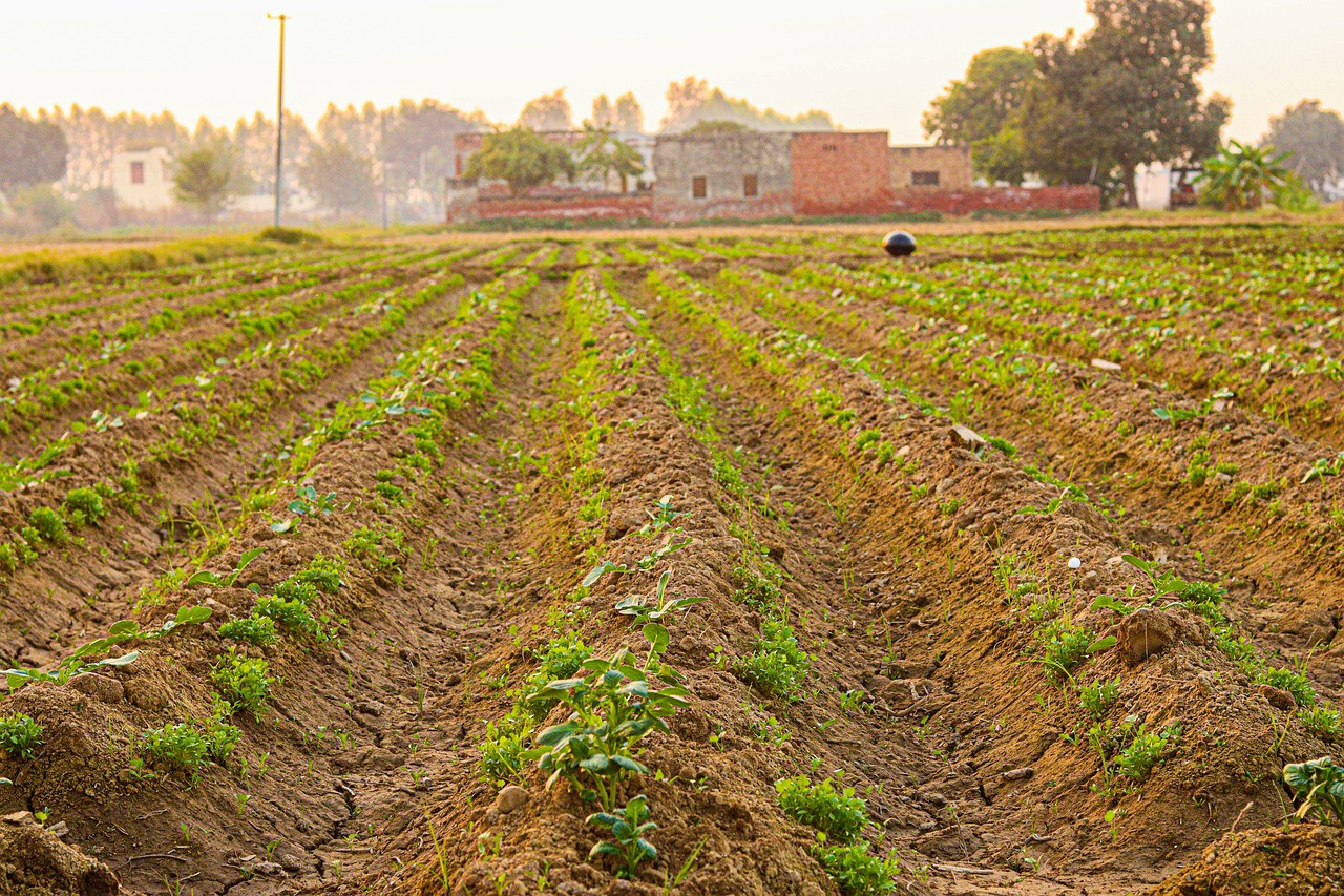 Representative image: indian village
