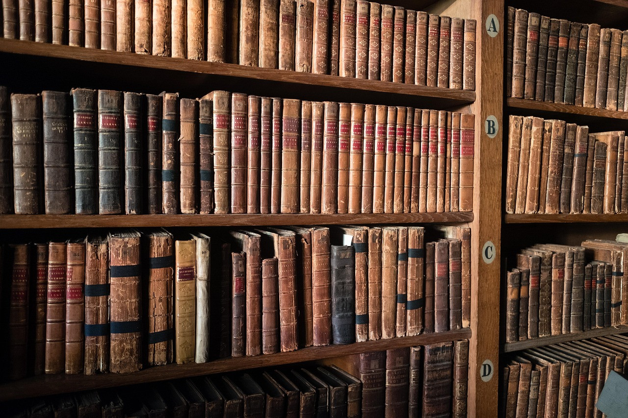 Representative image: old library bookshelves