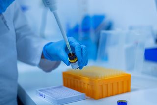 Colossal unveils GenoMorph AI to find dodo gene-editing targets
