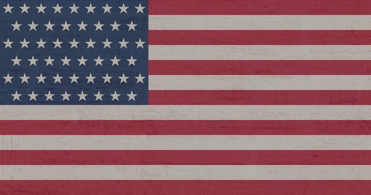 Representative image: american flag