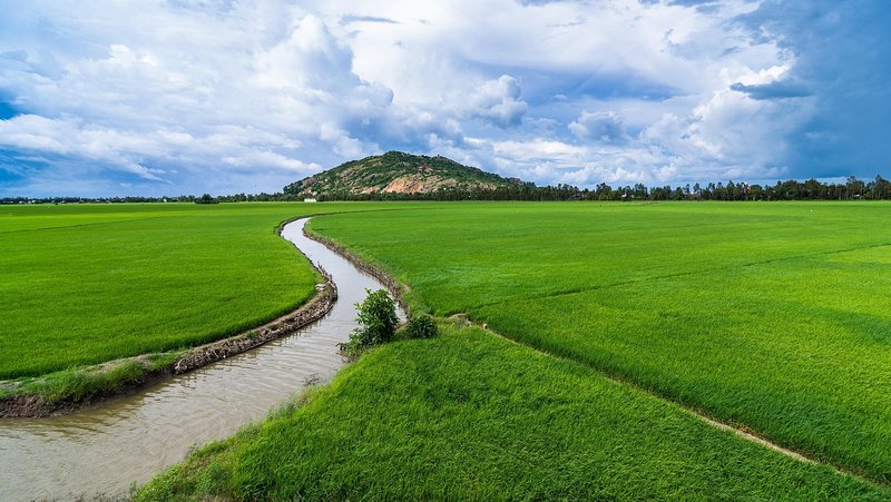 Cyclone Arnab floods 70,900 hectares of paddy; Naidu seeks central teams