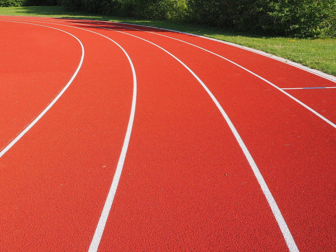 Representative image: running track athletics lanes