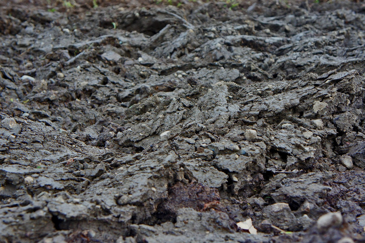 Representative image: dry cracked farmland