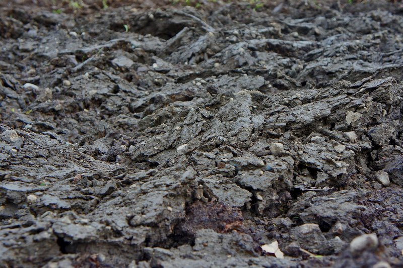 Representative image: dry cracked farmland