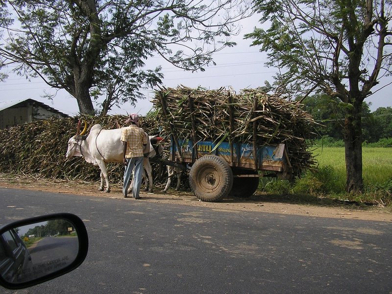 Ethanol 2026-27: no sugar for ethanol as oil firms seek 1,100 crore litres from grain