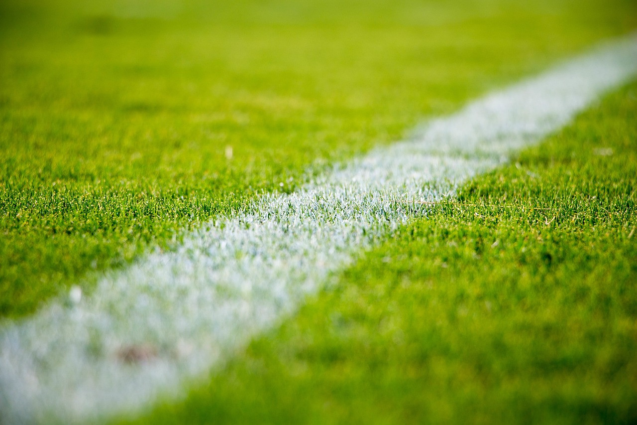 Representative image: football on grass pitch
