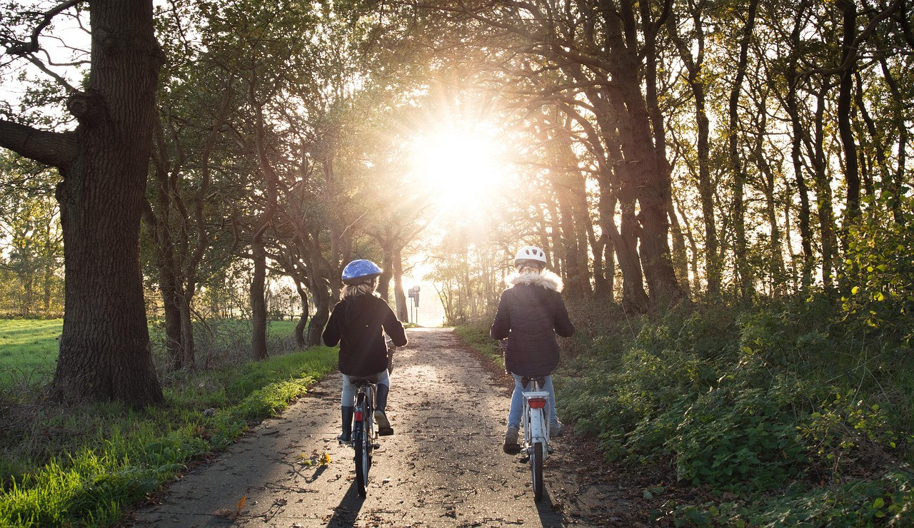 Representative image: student riding bicycle on road