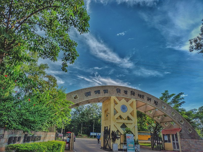 Gauhati High Court quashes Assam University VC Rajive Mohan Pant's appointment