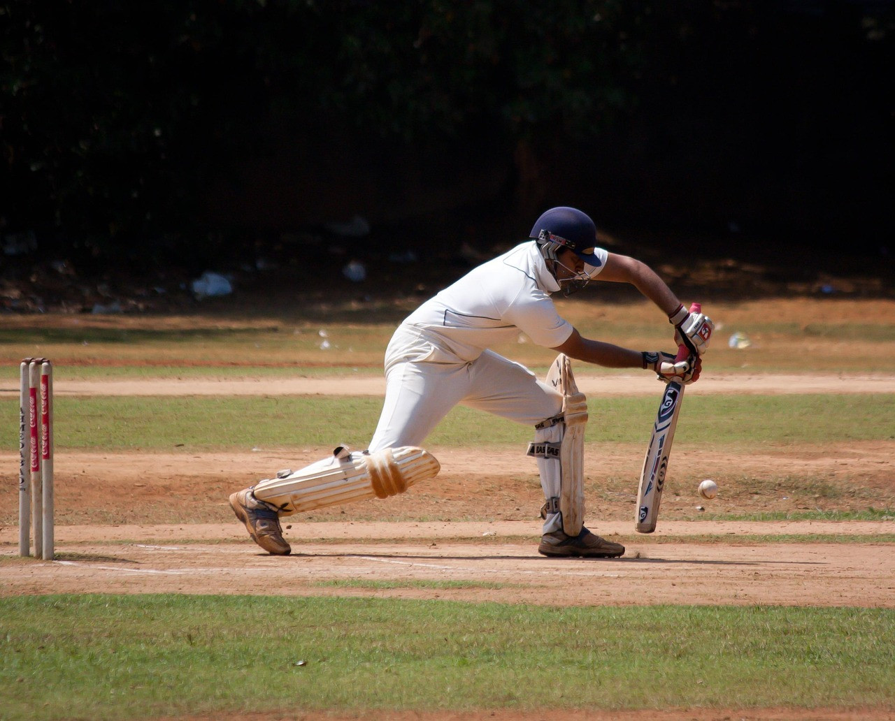 Representative image: cricket batsman pads