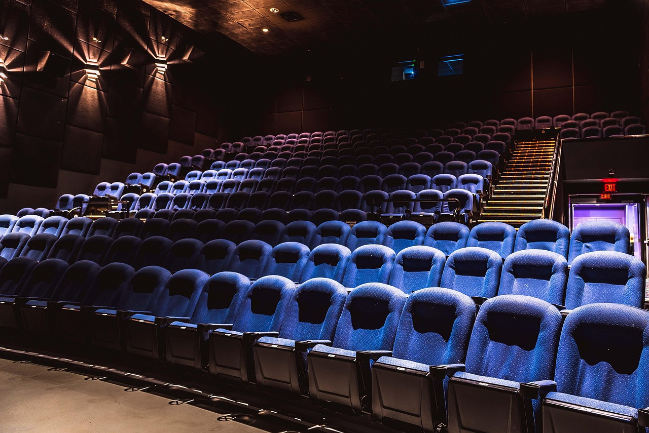 Representative image: cinema theatre seats screen