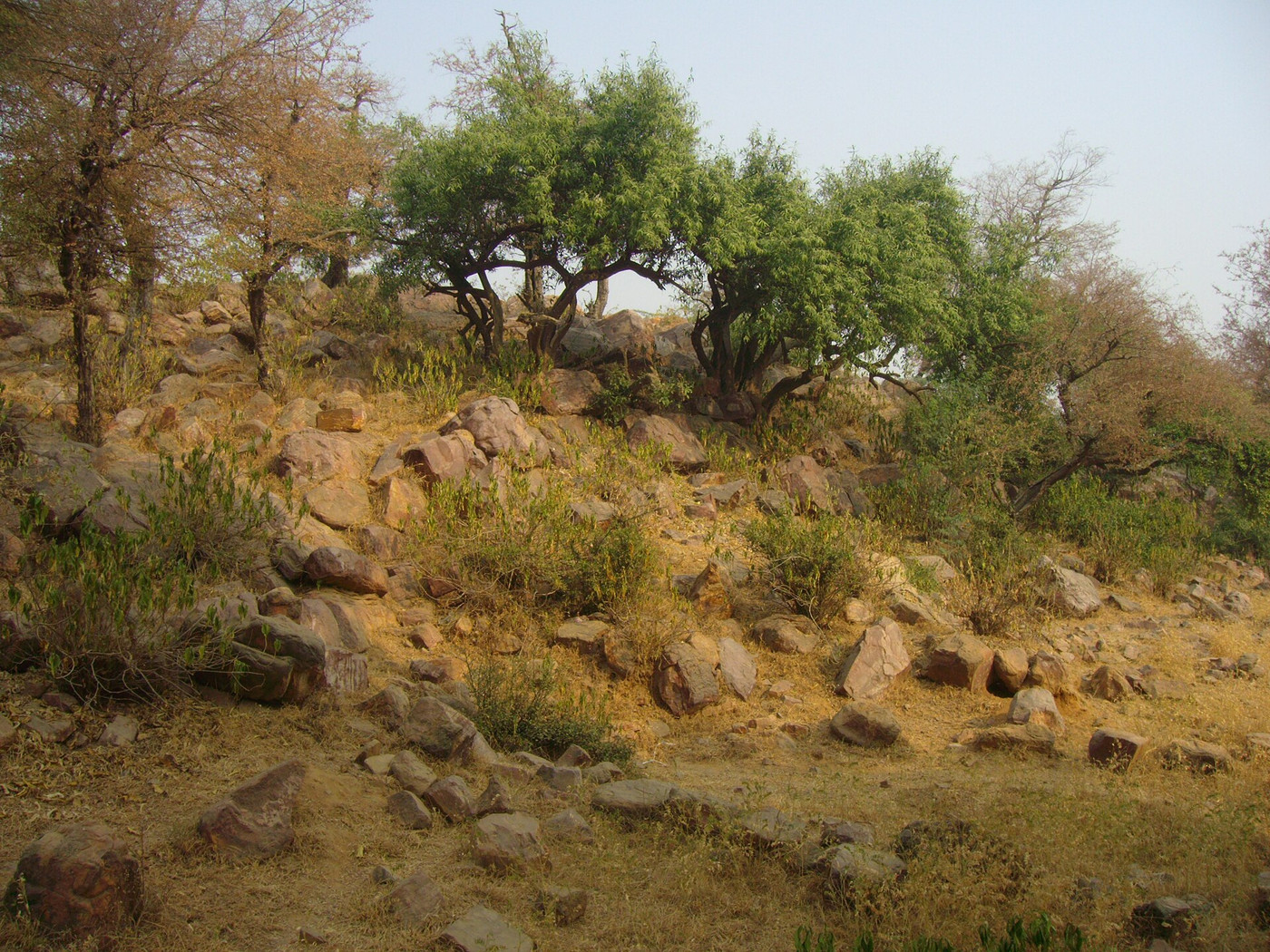 File photo: Govardhan Hill
