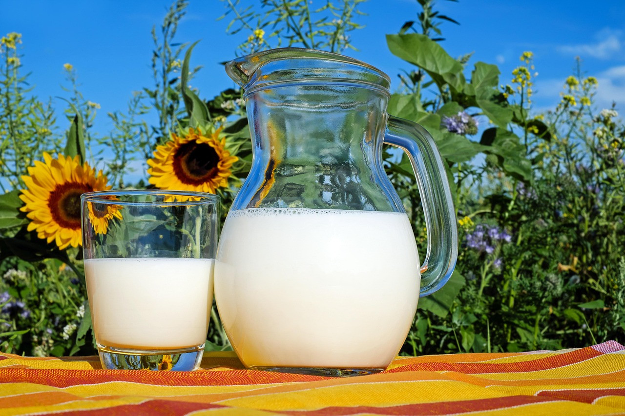 Representative image: village milk shop dairy