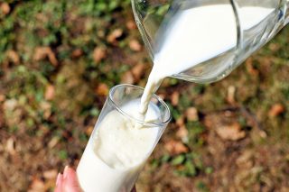 Gujarat plans women-run Amul milk parlours in 18,000 villages