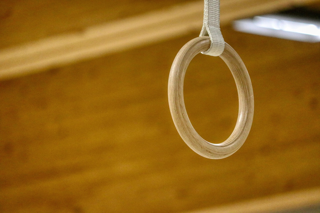 Representative image: gymnastics rings
