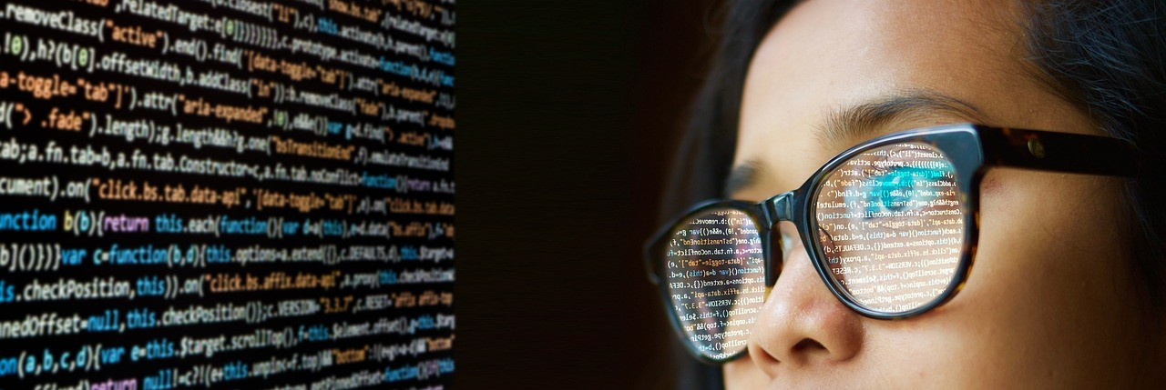 Representative image: software engineers working on computers