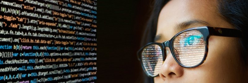 Representative image: software engineers working on computers