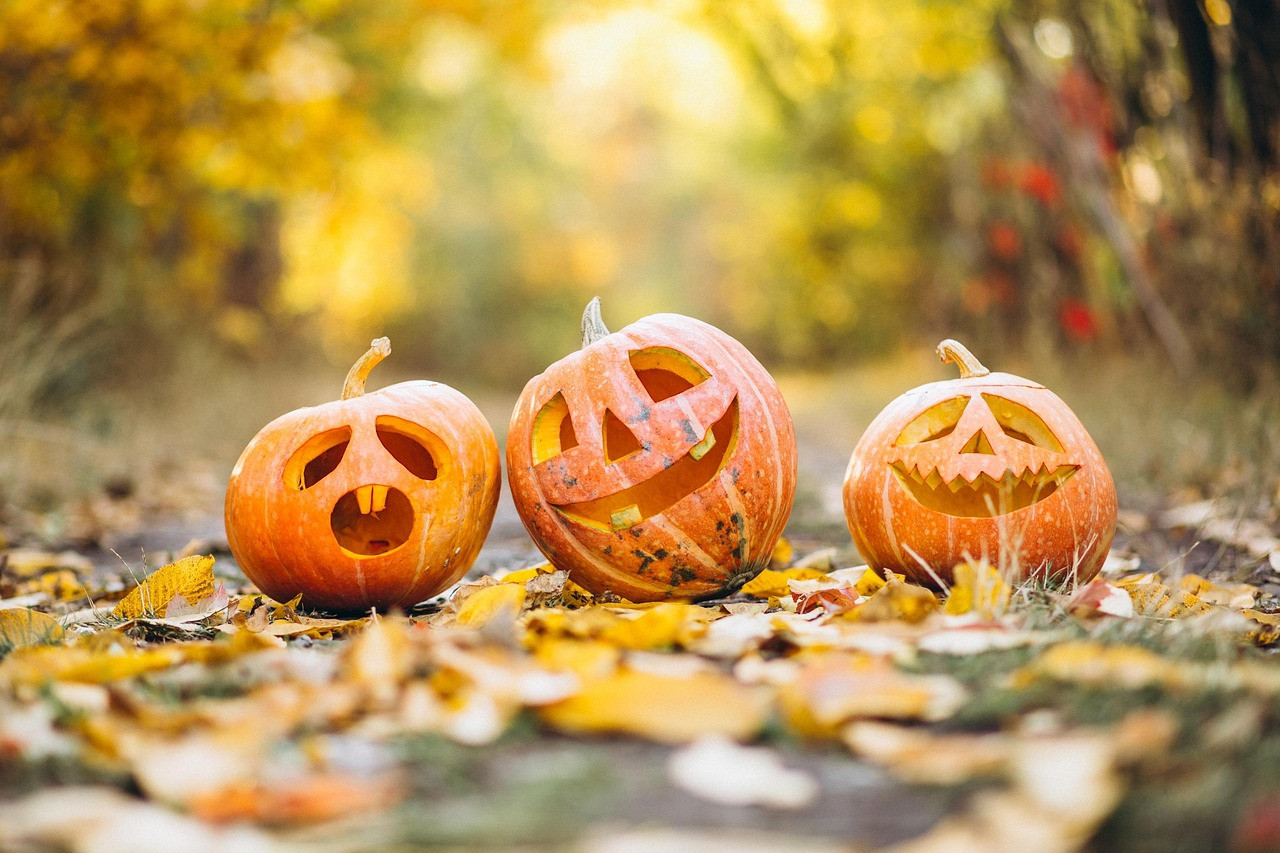 Representative image: halloween pumpkin lanterns