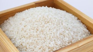 Haryana paddy farmers protest 17% moisture rule, seek 20% after rain