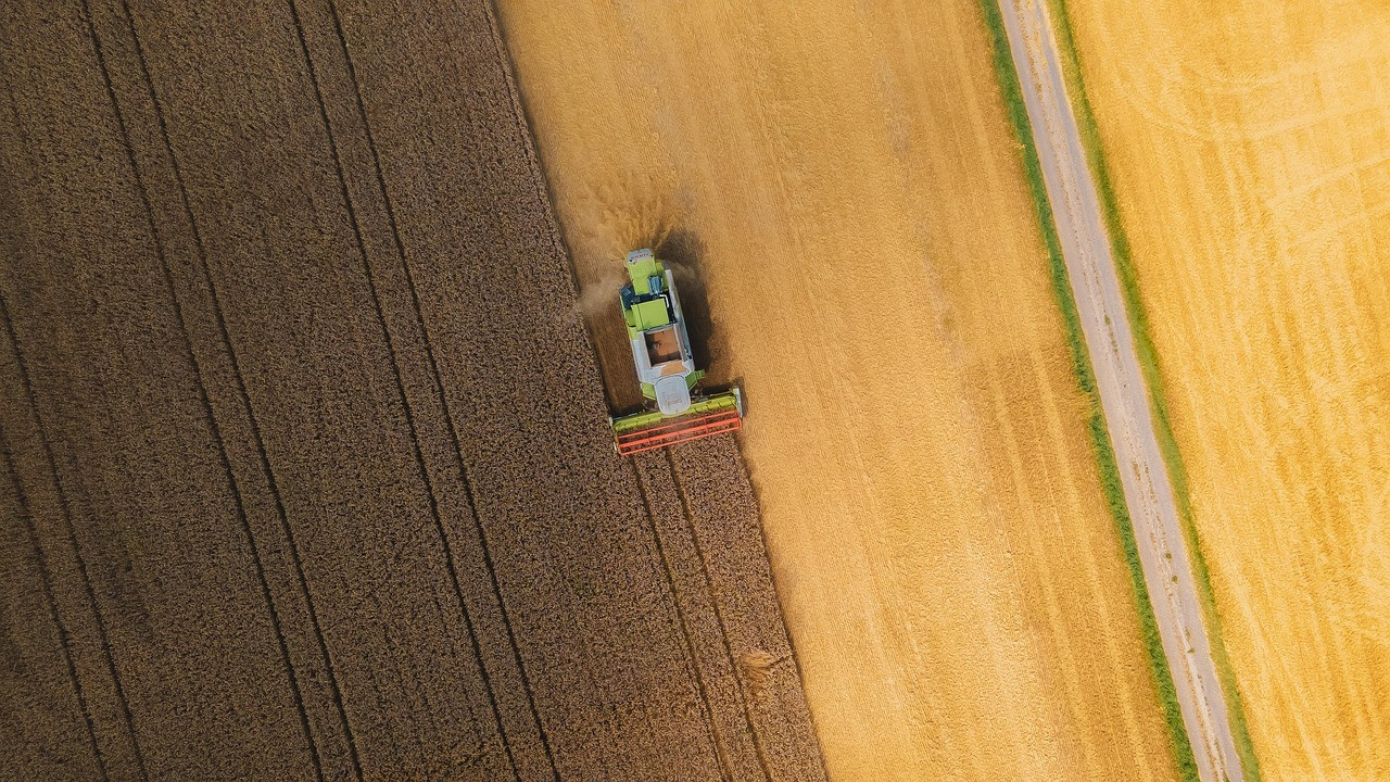 Representative image: rice harvest combine harvester