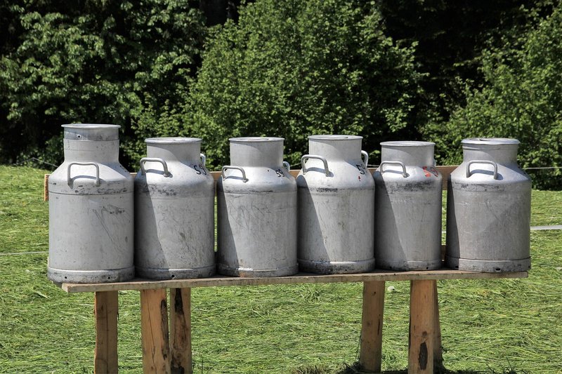 Representative image: milk cans dairy farmer