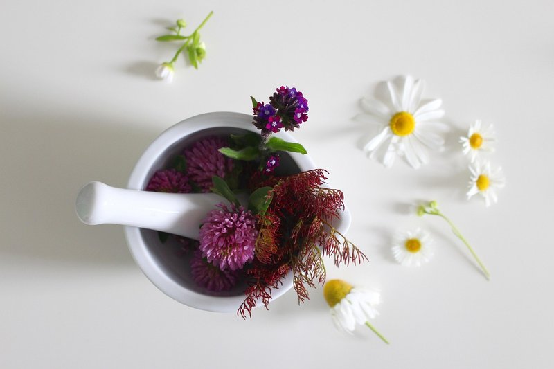 India-led traditional medicine group at WHO grows to 36, weighs global trust mark