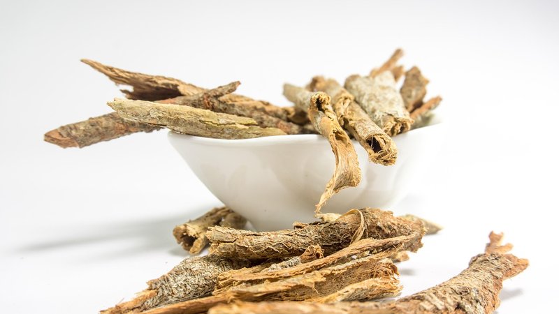 India-Oman AYUSH Information Cell opens at Muscat hospital
