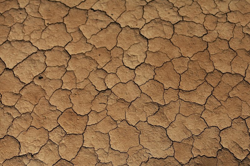 India's Weak Monsoon Puts Agriculture Under Strain: Drought, Rabi Risks and Rural Demand