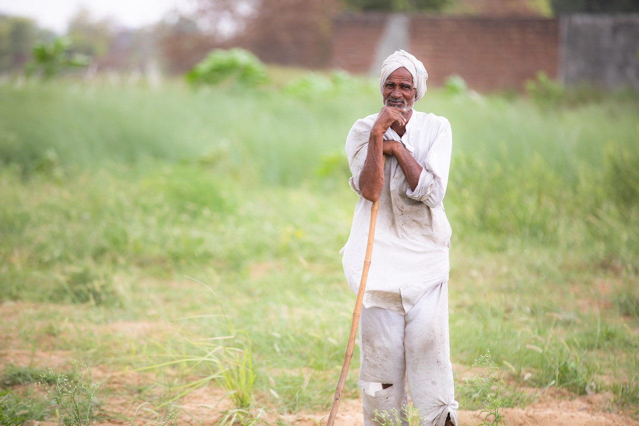 Representative image: indian farmer turban field