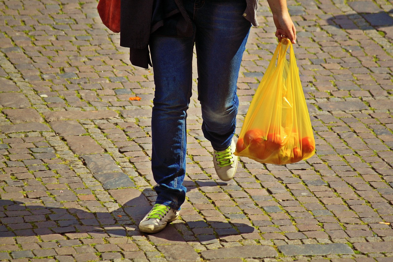 Representative image: grocery delivery bags
