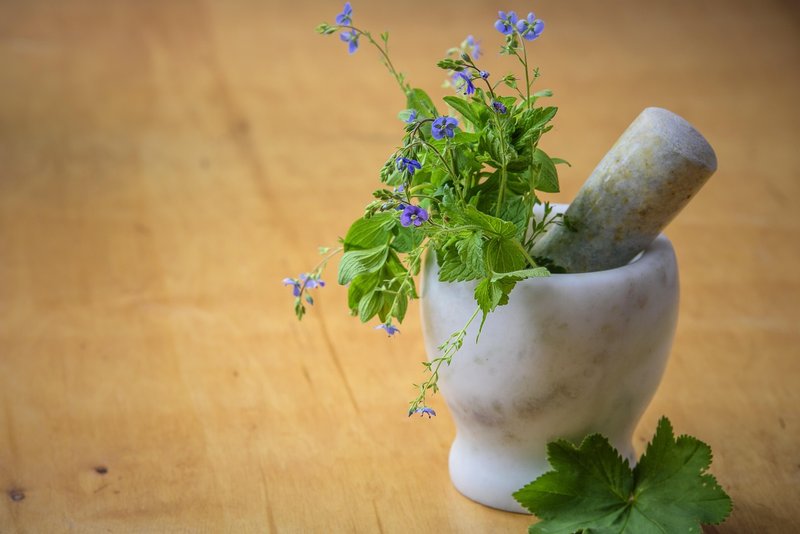 ITRA Jamnagar's Ayu-Tech Navonmesh 2026 puts AI on the Ayurveda agenda